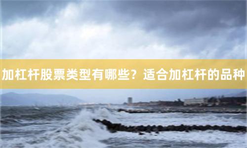 加杠杆股票类型有哪些？适合加杠杆的品种